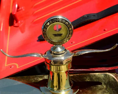 DSC_9866 (Large).JPG